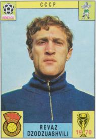 ريفاز دزودزواشفيلي